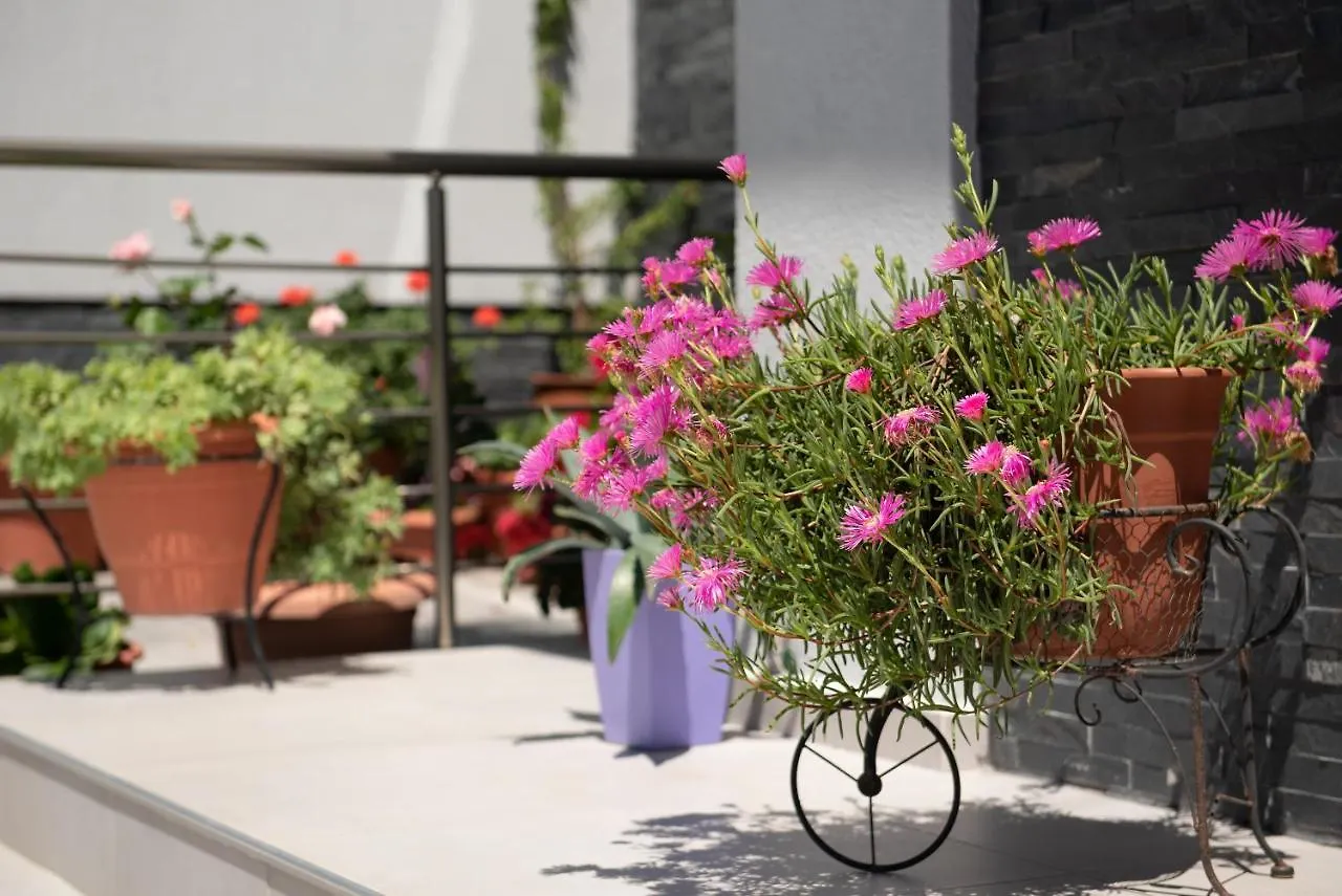 Almare Seaside Studios & Suites - Sarti Sithonia 0*,  Grecja